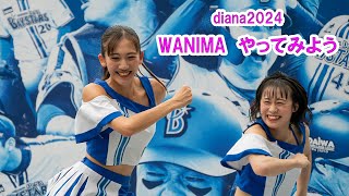 やってみよう diana 試合前ステージ 20240903 [upl. by Nylrac354]