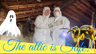 Day 9 of a big renovation\the attic is safe now [upl. by Orelu]