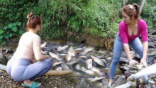 Greatest Fishing Videos Fishing Catching Fish With Pump Catching A Lot Of Fish In The Wild Lake [upl. by Lysander]