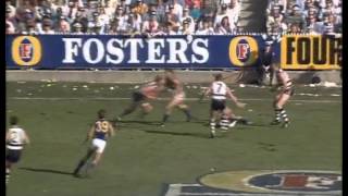 1992 AFL Grand Final West Coast vs Geelong [upl. by Ayekan]