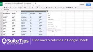 Hide rows and columns in a Google Spreadsheet  G Suite Tips [upl. by Stannfield]