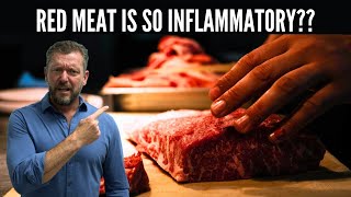 Carnivore Diet is so Inflammatory Red Meat Concerns 2024 [upl. by Erodavlas]