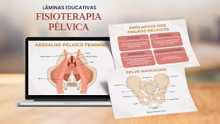 Lâminas Educativas  Fisioterapia Pélvica [upl. by Sprung630]