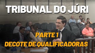 Tribunal do Juri  Decote de Qualificadoras Video 0102 [upl. by Odracir]