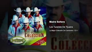 Madre Soltera  Los Tucanes De Tijuana Audio Oficial [upl. by Sutelc]