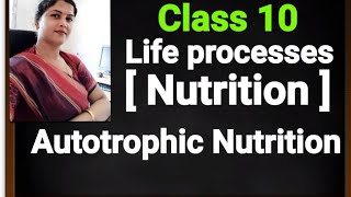 Autotrophic nutritionclass 7 and 10 [upl. by Aroc]