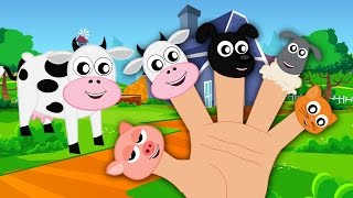 Animals Finger Family And Kids Song For Children  Nursery Rhymes For Babies [upl. by Vetter662]