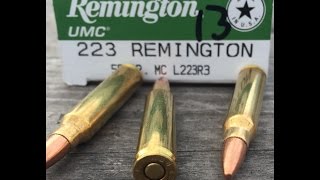 223 Remington 55gr FMJ Remington UMC L223R3 Velocity Test [upl. by Asilana]