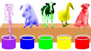 Farm Animals Bathing Colors Fun  Learn Colors for Children Kids Toddlers To Learn With Animals [upl. by Aysa]