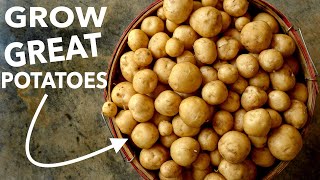 NoTIll Potatoes  How to Grow Harvest Store [upl. by Bobby]