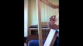 You played by Harpsicle Harp [upl. by Tshombe833]