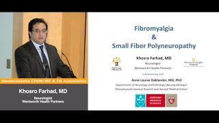 Fibromyalgia amp Small Fiber Polyneuropathy Full Lecture  Khosro Farhad MD [upl. by Desdee]