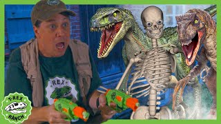 Dinosaurs Skeletons and Park Rangers at the Haunted House  TRex Ranch Dinosaur Videos for Kids [upl. by Breena939]