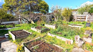 Watch us Transform this Complicated Mess  Garden Cleanup [upl. by Macdermot]