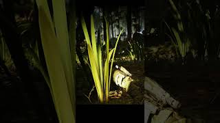 Ghost Recon Breakpoint 647 shorts gaming ghostreconbreakpoint trending viralvideo assaultrifle [upl. by Cini]