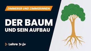 Der Baum und sein Aufbau  Lehre To Go [upl. by Seely]