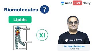 Biomolecules  L 7  Lipids  Class 11  Unacademy NEET  LIVE DAILY  NEET Biology  Sachin Sir [upl. by Woodcock]