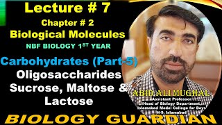 Oligosaccharides  Disaccharides  Sucrose  Maltose  Lactose  Lecture 7 Ch 2 NBF Biology11 [upl. by Namyw]