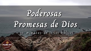 Promesas de Dios que cambiarán tu vida  30 min de versículos bíblicos para motivarte  La Biblia [upl. by Vernier]