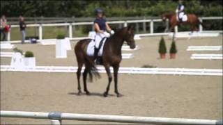 wwwreitschulesandbrinkde SOULMATE Sandro Hit  Calypso II Warendorf 0611 Dressage [upl. by Ringler]