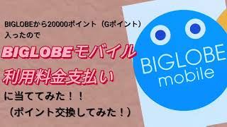 BIGLOBEからキャンペーンの20000ポイント入ったので、BIGLOBEモバイル利用料金に当ててみた！！ [upl. by Demmy]