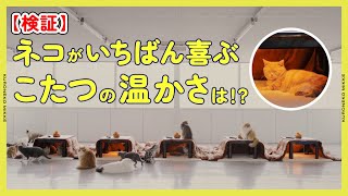 【検証】ネコがいちばん喜ぶこたつの温かさを調べてみた【モニタリング】ヤマト運輸 ＃クロネコみっけ クロネコヤマト 猫 スキー スノーボード 雪 [upl. by Yalhsa]