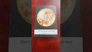 272 Taurus  Moonology Oracle Message [upl. by Disini]