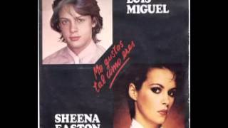 Sheena easton Telefono cantado en español [upl. by Doehne27]