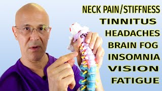 This Neck Technique Can Change Your LifeNeck Pain Tinnitus Headaches Brain Fog Dr Mandell [upl. by Ecnarepmet]