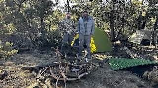 SHED HUNTING HAS STARTED DAILY VLOG [upl. by Dickinson626]