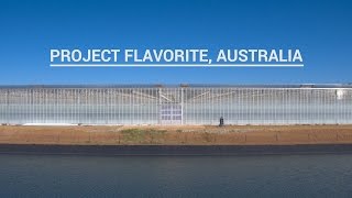 Project movie Flavorite Australia  Van der Hoeven Horticultural Projects [upl. by Noek1]