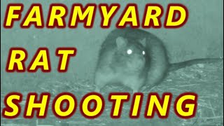 FARMYARD RAT SHOOTING  Air Arms amp BSA [upl. by Ialocin]