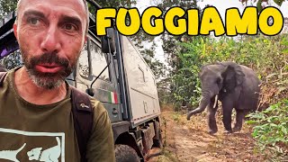 Inseguiti da un ELEFANTE in Guinea 😵 Giro del MONDO in CAMPER 4x4 [upl. by Favin]