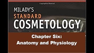 Milady CimaStandard Esthetics Chapter 3 Physiology and Histology of the Skin [upl. by Aylsworth]