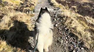 Harley climbing the devils staircase from Glencoe to Kinlochleven in HDR [upl. by Lotsyrk]