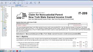 Noncustodial Parent New York State Earned Income Credit [upl. by Nohsid]