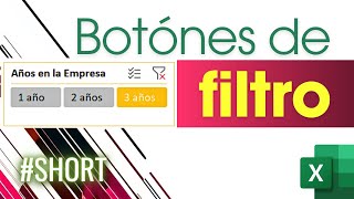 Diseña Filtros INTERACTIVOS con botones en Excel ¡Sin tanto rollo [upl. by Aset]