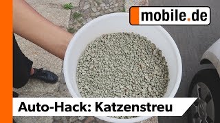 Mit Katzenstreu beschlagene Autoscheiben verhindern  mobilede [upl. by Narik]