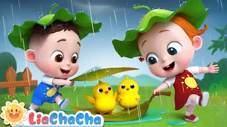 Baby Animals Play in the Rain  Rain Rain Go Away  Kids Songs amp Nursery Rhymes  LiaChaCha [upl. by Hamel]