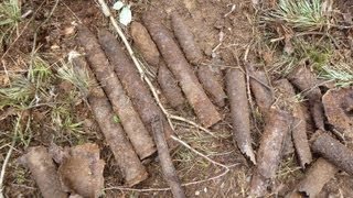 WW2 Sondeln  37cm Flak  Geschosse in MecklenburgVorpommern metal detectingWK2 Relics [upl. by Iolenta]