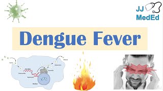 Dengue Fever  Pathophysiology Symptoms Diagnosis amp Treatment [upl. by Anawit817]