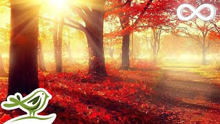 Beautiful Romantic Music Relaxing Music Piano Music Violin Music Guitar Music Sleep Music ★101 [upl. by Yamauchi254]