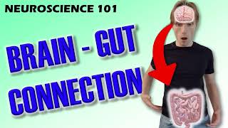 Should We Really Trust Our Gut  The Neuroscience of the GutBrain Relationship  Neuroscience 101 [upl. by Mellins117]