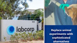 LABCORP STOP TORTURING PUPS amp KILLING THEM Animal Experimentation Explained What Does LABCORP do [upl. by Epilef18]