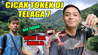 AKU KENA GIGIT DENGAN CICAK TOKEK  ASYRAF ROZAMI NAK GORENG [upl. by Follansbee844]