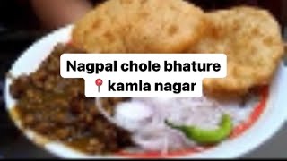 Nagpal chole bhature in kamla nagar youtube kamlanagar delhiuniversity trending food foodie [upl. by Mikiso919]