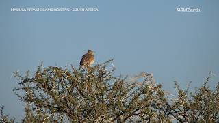 A birder’s paradise [upl. by Aliet391]