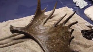 Restoring Giant Moose Sheds [upl. by Uticas719]