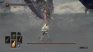 Nameless King boss fight walkthrough [upl. by Johan]