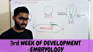 Third Week Of Human Development  GENERAL EMBRYOLOGY  urdu \ Hindi [upl. by Sirtaeb]